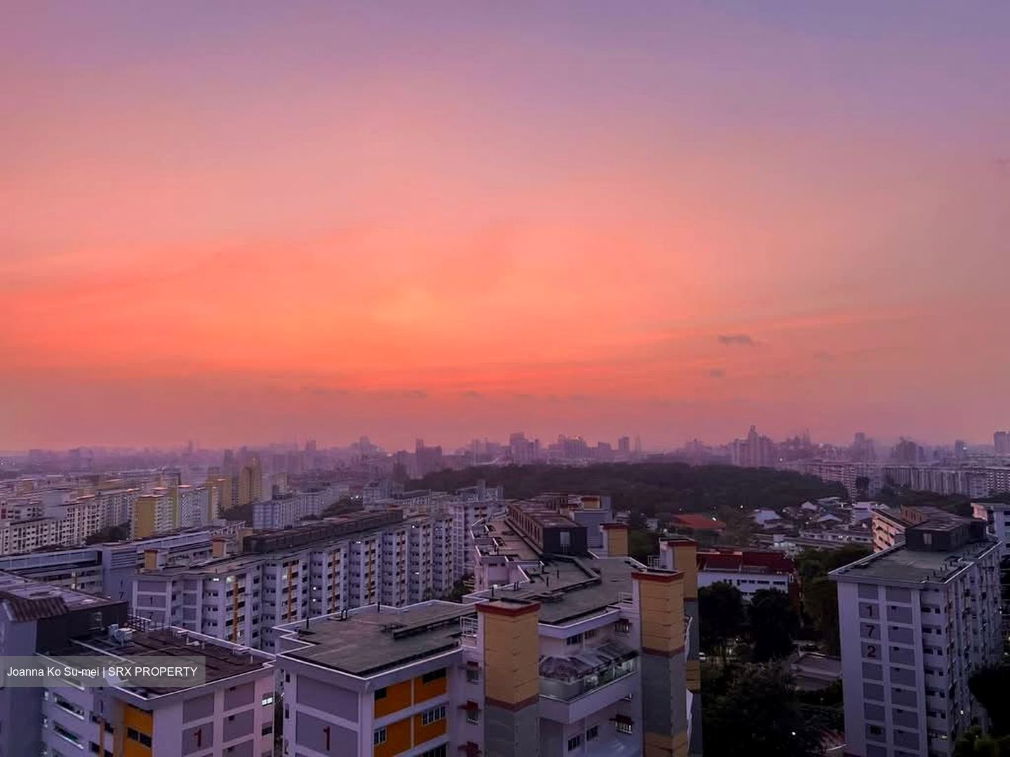 The Panorama (D20), Condominium #575055861
